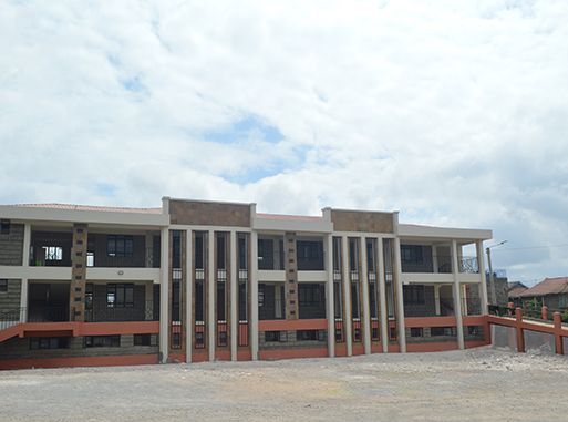 the tender care school building exterior in komarocks nairobi